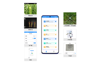镇江市小麦表型检测仪IN-XM04